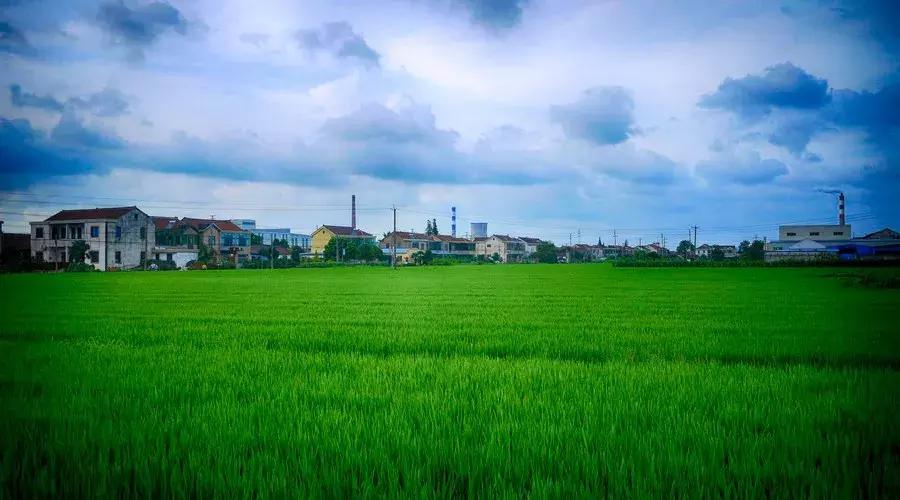 南京20分钟车程外的不老村，咖啡屋、书吧、酒吧，周末度假好去处