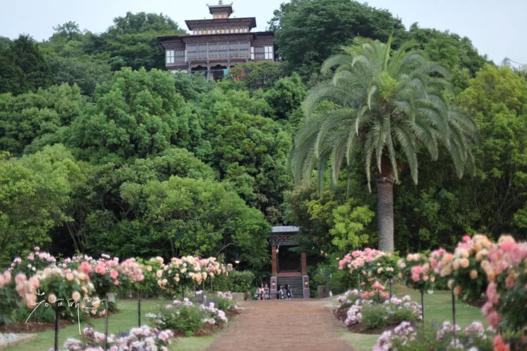 日本的哪个地方中国人不能去,日本什么地方很多中国人