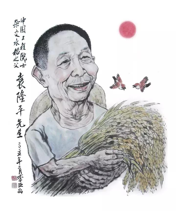 中国人在迪拜利用海水收割水稻,迪拜沙漠种植海水稻成功