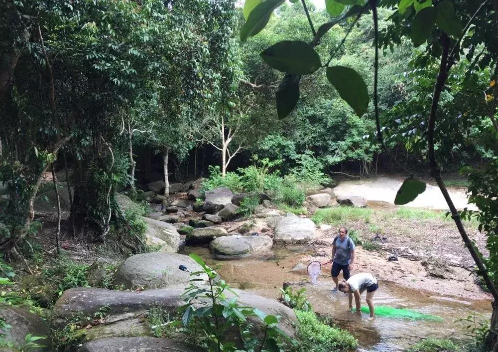一个未被中国人攻陷的岛屿,4个免签的绝美海岛