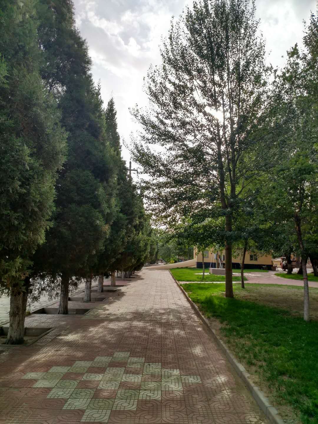 内蒙古，我的202厂｜扈嘉翼返乡画像