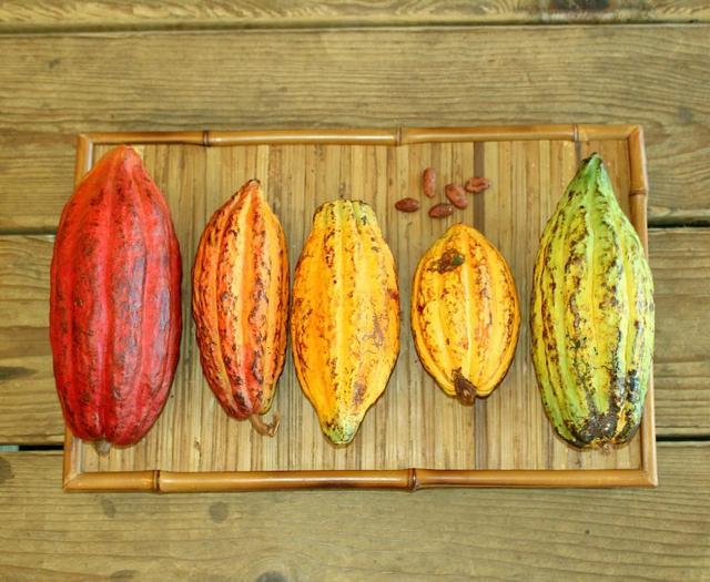 美味巧克力做法,美味巧克力派制作方法