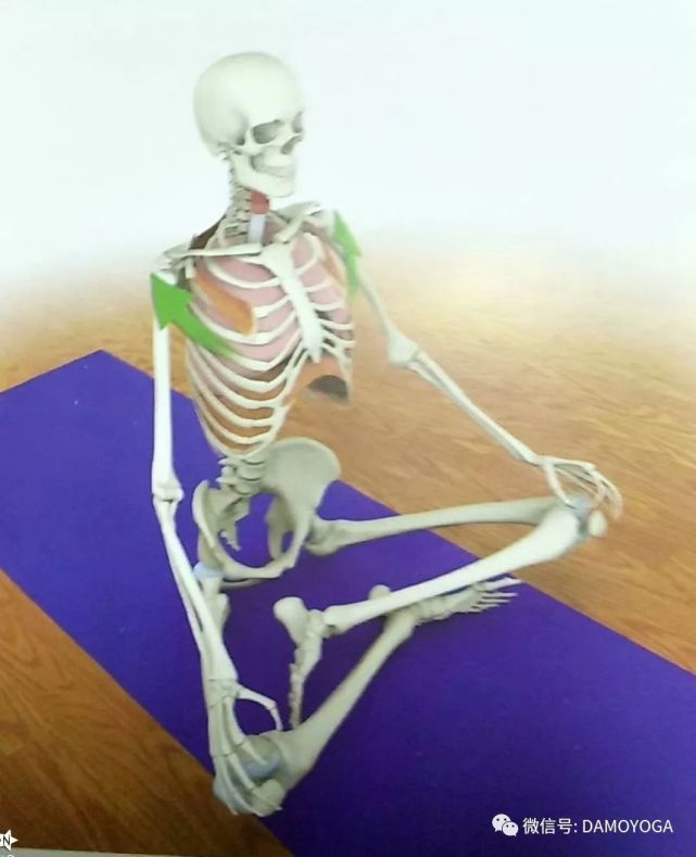 呼吸浅快的处理方法,呼吸太短太浅正确呼吸方式