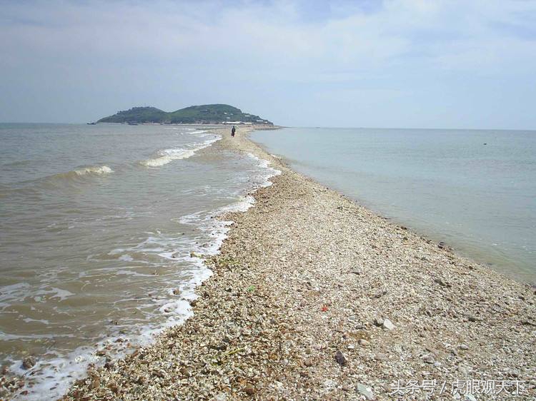 徐福空来不得仙,徐福空来不得仙是什么意思