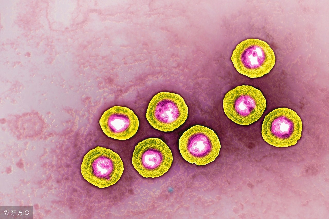 巨细胞和单纯疱疹病毒如何预防,单纯疱疹病毒hsv1型是怎么感染的