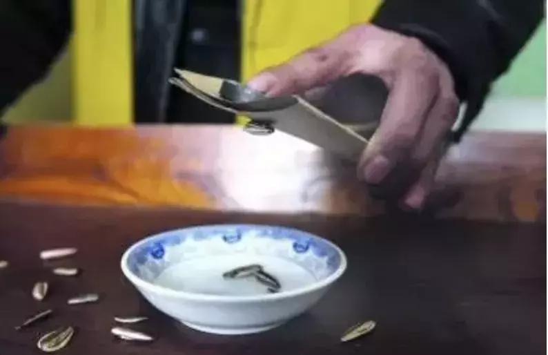 警惕！鄂尔多斯一汽车站惊现“猜豆豆”行骗团伙，8人被拘留……