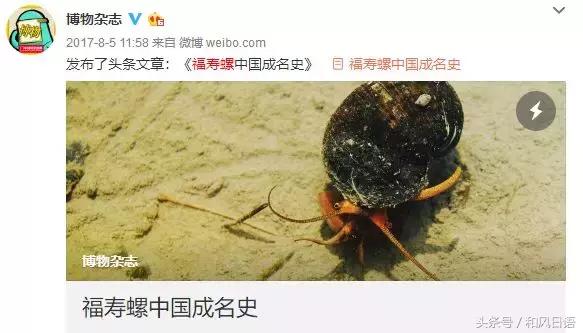 摸一下可能会死？！这个入侵日本的外来物种好可怕！