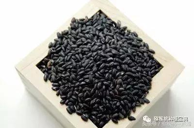 野生猕猴桃根熬制喝能治乳腺癌吗,预防乳腺癌需要打什么疫苗