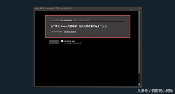 steam扫盲,steam俄区正确使用方法