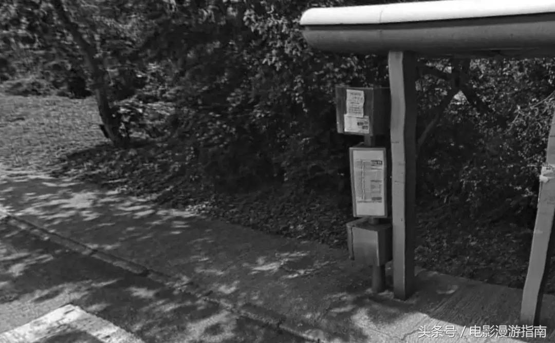 有姑娘出20w让我去香港找条狗，绑匪说：要30w——我Tony还亏了6W