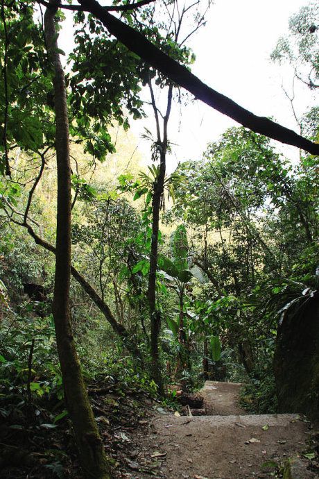 最美樱花温泉,樱花谷泡温泉价目表