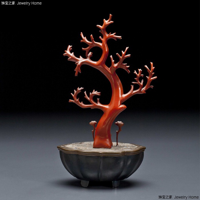 红珊瑚的魅力有多大,红珊瑚的魅力有多强