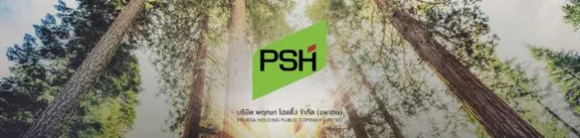 安信达考察,泰国商务考察团回国考察