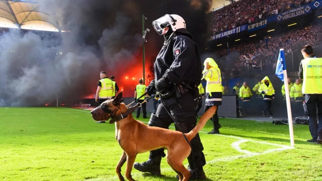 球场发生碰撞应该谁负责,球场发生意外谁负责