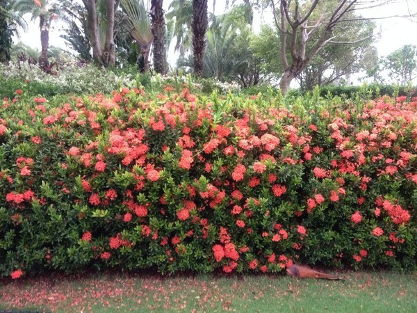 北纬18°风飘飘兮海水蓝