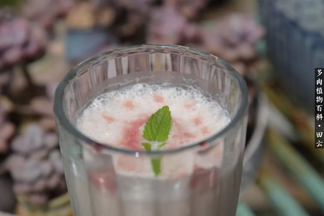 推开世界的门和自己和解,推开世界的门你所看到的风景