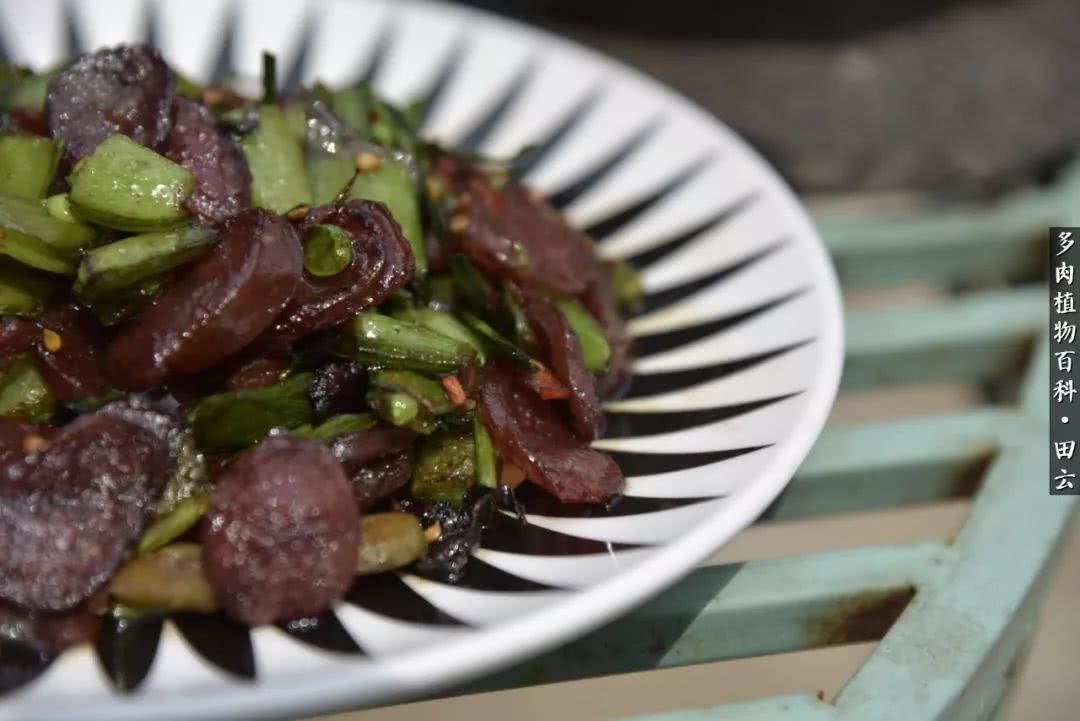 推开世界的门和自己和解,推开世界的门你所看到的风景