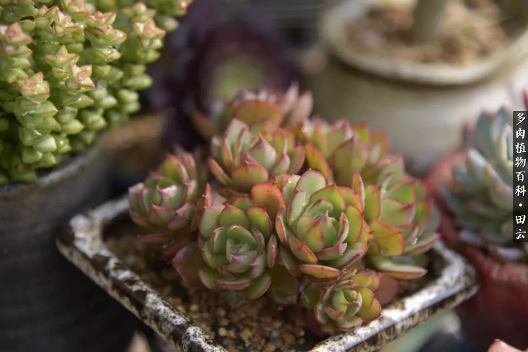 推开世界的门和自己和解,推开世界的门你所看到的风景