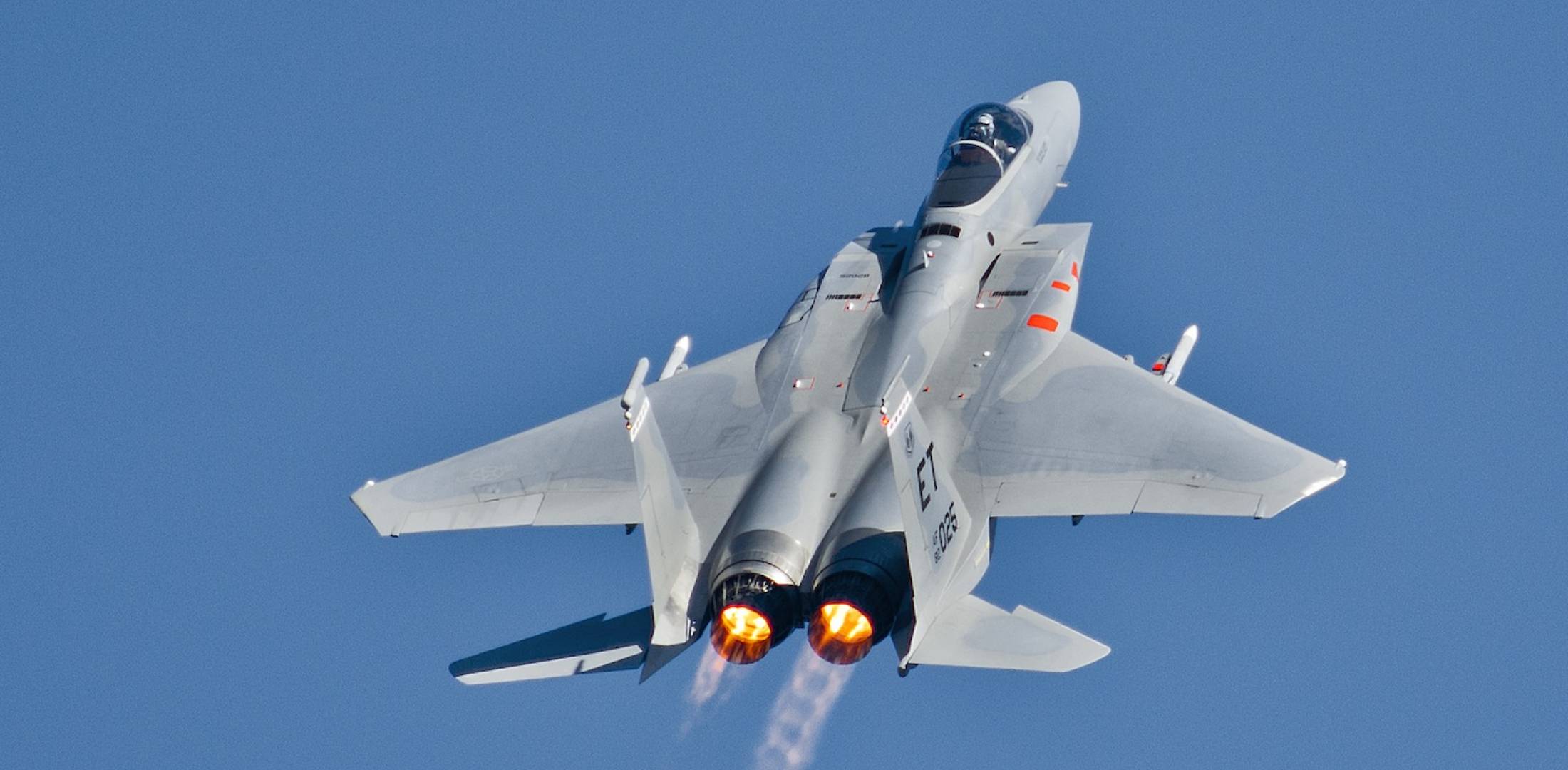 沙特的枭龙战机,沙特枭龙战斗机