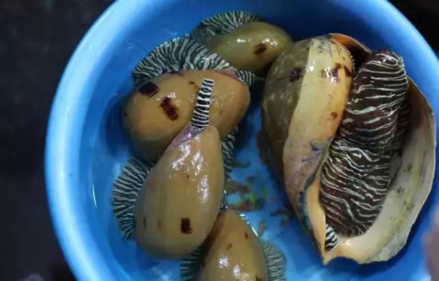 国内小众4个海岛人少景美还便宜,富国岛旅游攻略免签