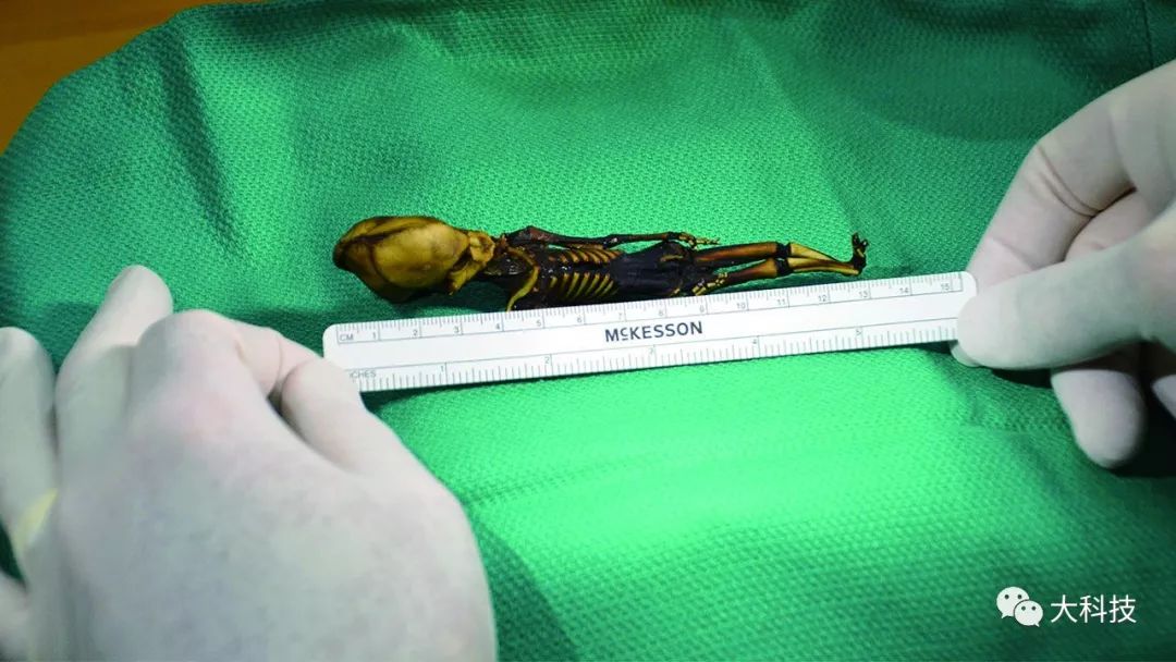 沙漠外星遗迹,地下沉睡的骸骨