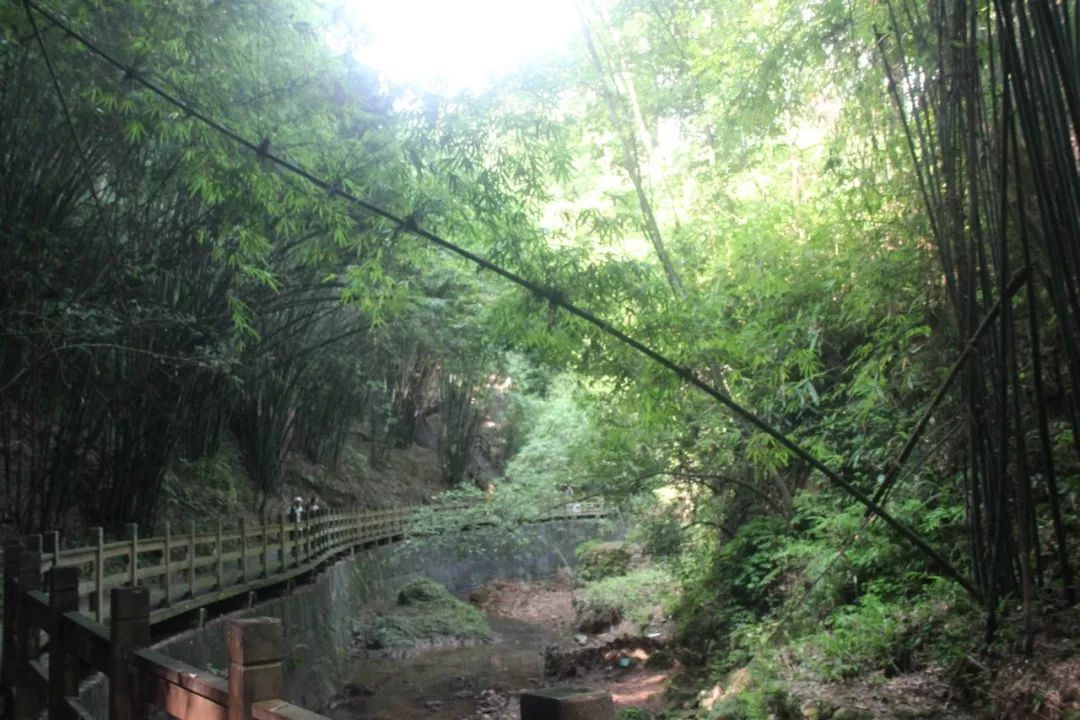 避暑耍水爽一夏！低至4折≈258元抢街子古镇艺家精品酒店住宿一晚！双早+游泳+逛古镇……屋里搓麻~山涧耍水~全家游~凉快的很！