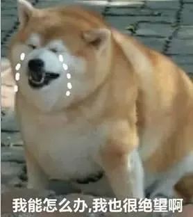 香港代购最新通知,香港代购假货新闻