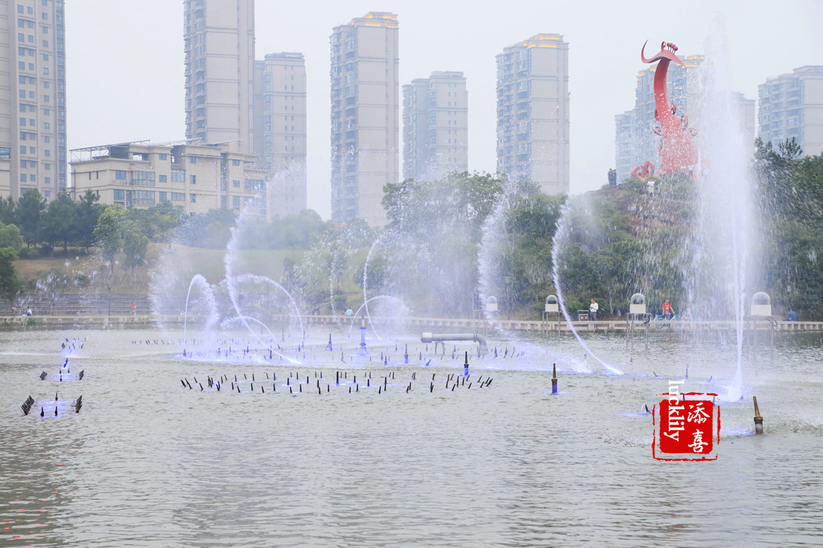 衢州碧桂园凤凰酒店钟点房,衢州凤凰碧桂园