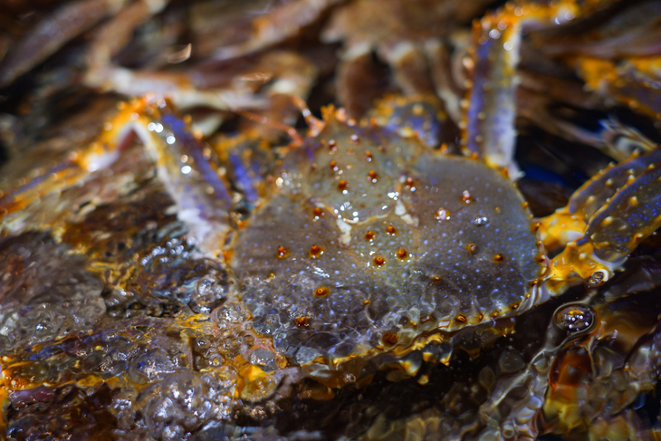 富士X-A5微单评测！不仅能美颜自拍ISO6400感光度画质也很纯净