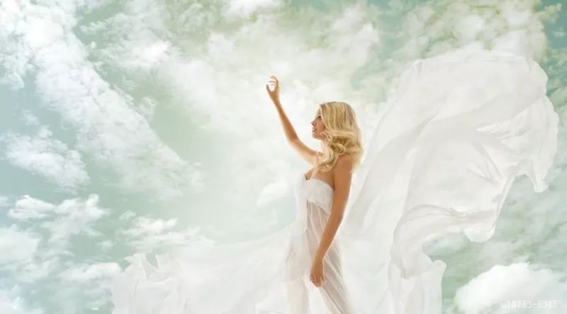 无硅油雪纺,针织雪纺面料