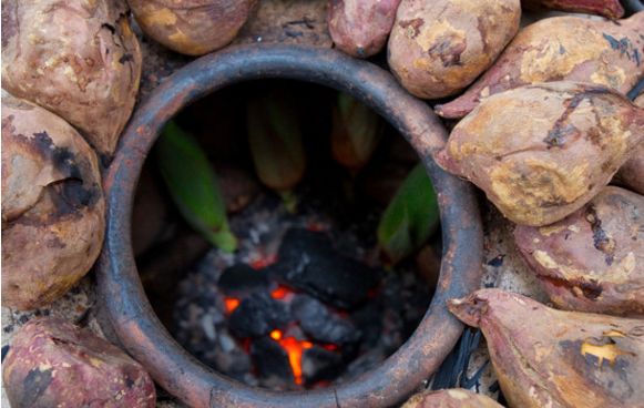 「诗词原创」罗武第｜村趣—乐隐柴门云涧度草鸡卧暖饮霞阳
