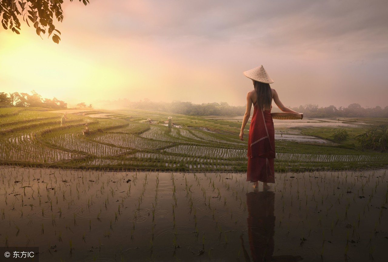 爱情诗句经典英文摘抄,英文爱情诗句