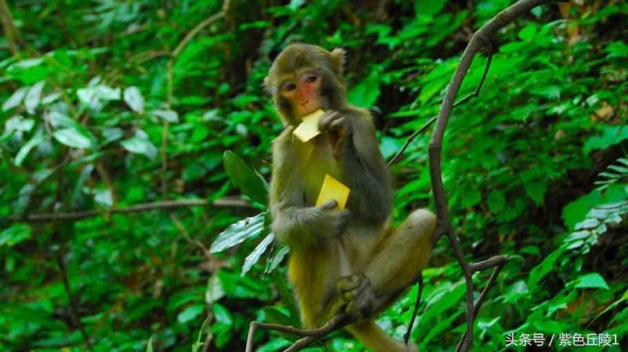 中国最美溪流,中国最美的河流