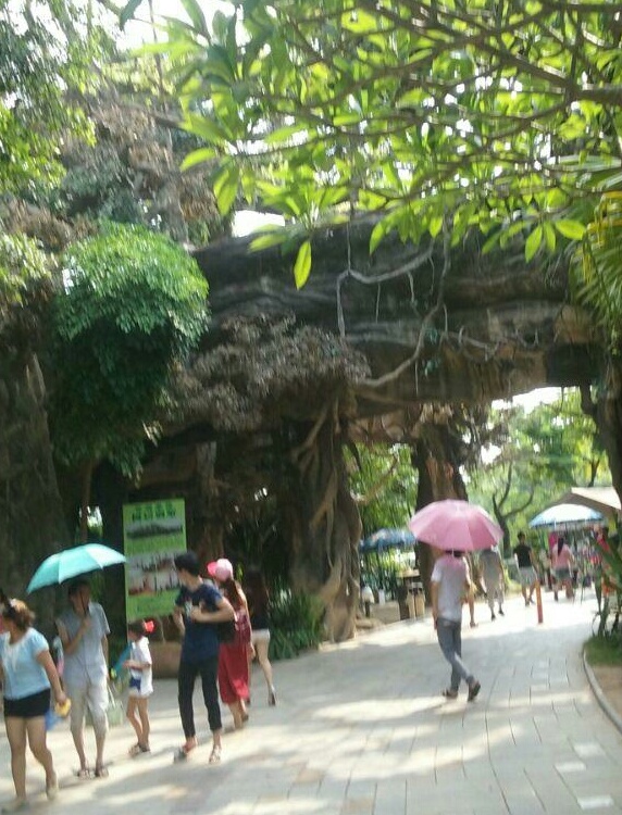 深圳海上田园怎么样,深圳海上田园景区