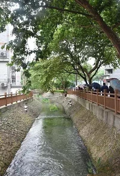 有一种幸福叫怀旧,有一种幸福叫什么450字的作文