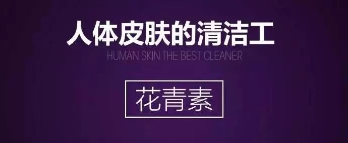 洋葱为什么被称为蔬菜王后,洋葱为什么是蔬菜皇后