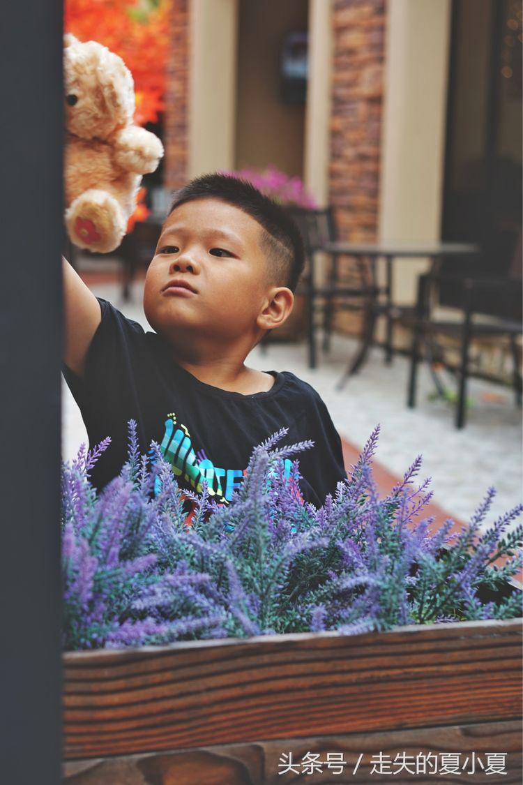 摄影：菠萝油王子