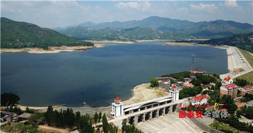 总有一张照片打动你,总有一张照片感动你