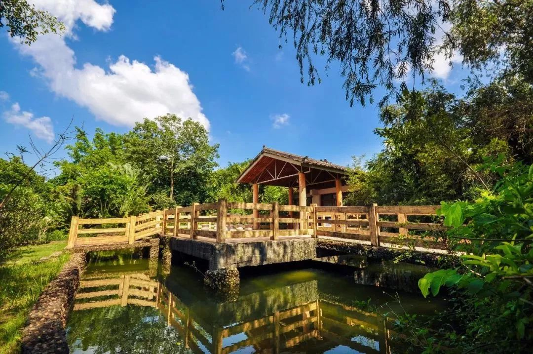 激情世界杯活动目标,激情澎湃的世界杯