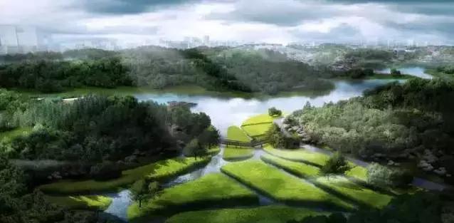 双流县十大美女,双流区漂亮美女