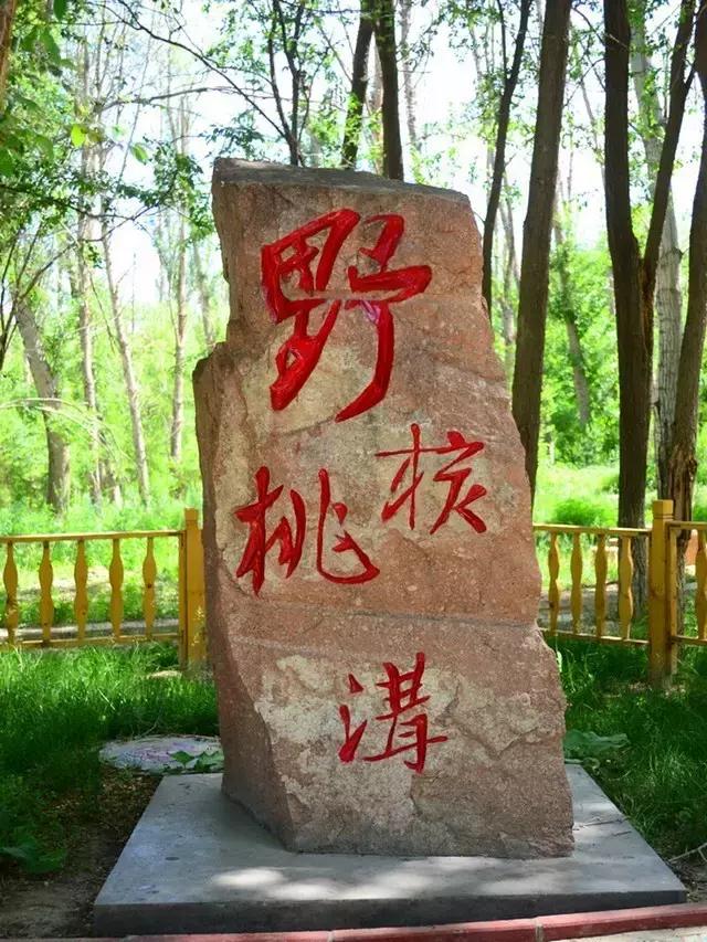 疆内春季风景,疆内美丽旅游景点