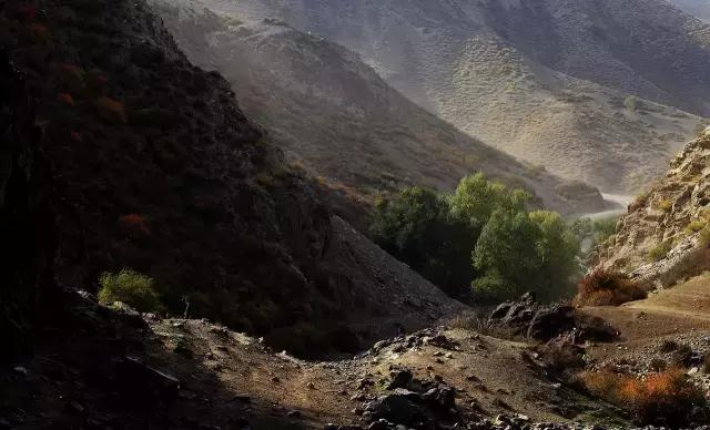 疆内春季风景,疆内美丽旅游景点