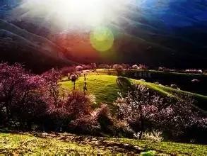 疆内春季风景,疆内美丽旅游景点