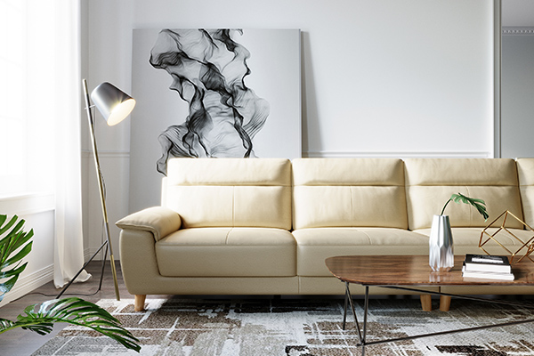 世界杯必备神器,世界杯必备好物