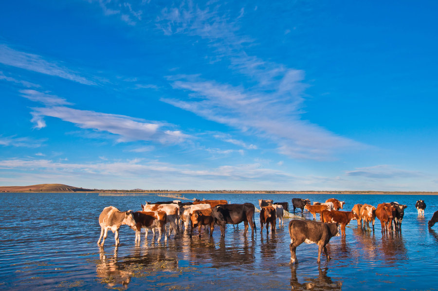 河北张家口旅游景点大全,张家口免费的旅游景区