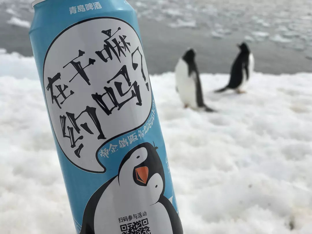 14骞翠笘鐣屾澂闈掑矝鍟ら厭,闈掑矝鍟ら厭28澶╄冻鐞冪媯娆㈠