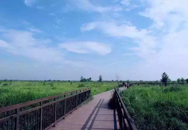 郑州周边夏天好玩的景点,郑州夏天旅游攻略景点必去