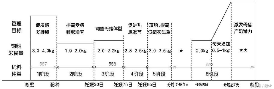 母猪蹄肿怎么治,母猪痛风怎么治疗