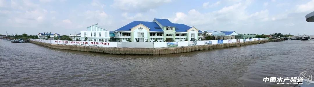 越南巴沙鱼产能,越南河内巴沙鱼工厂简介