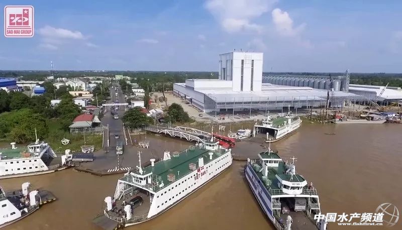 越南巴沙鱼产能,越南河内巴沙鱼工厂简介